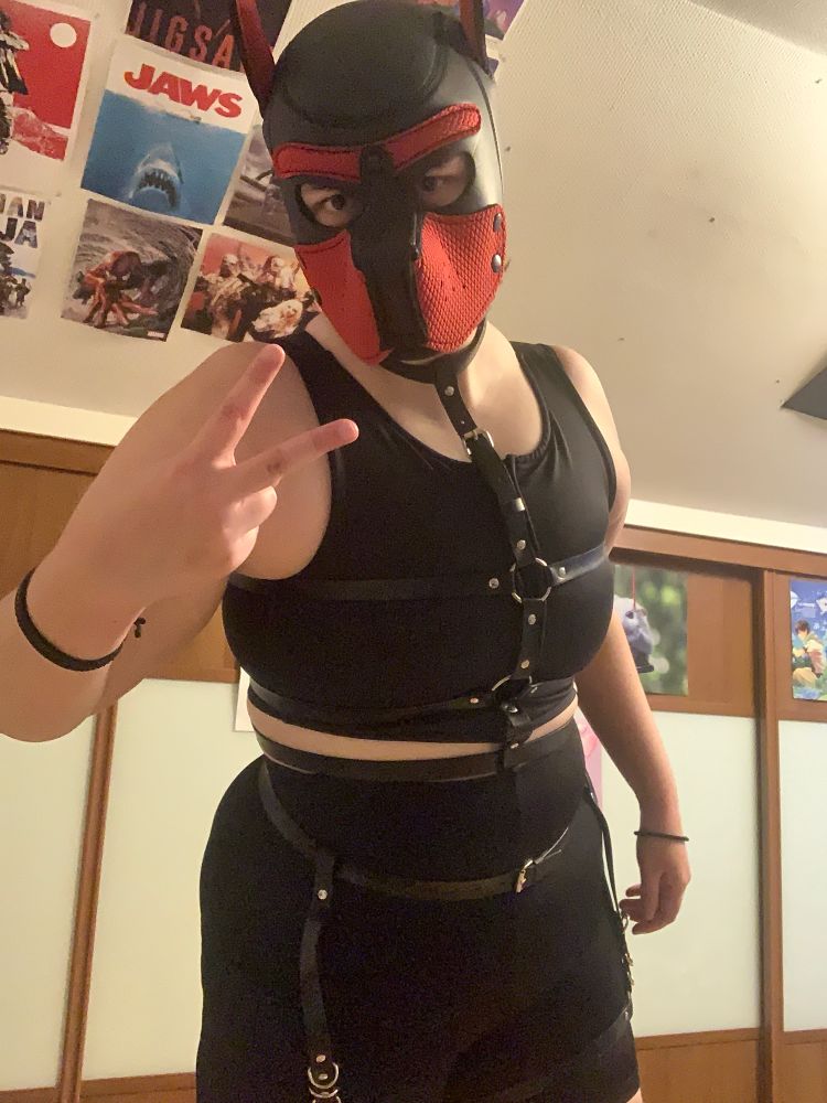A picture of me wearing body and leg harnesses on top of my swim shorts and swim binder. I have a red and black pup mask on.