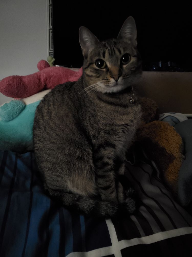 crimebag in question