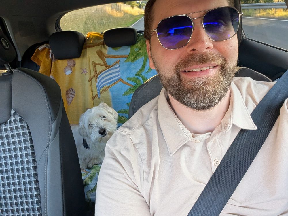 Ein Auto steht am Straßenrand in der Abenddämmerung, ein kleiner Hund schaut neugierig aus dem Fenster. Im Hintergrund Lichter einer Stadt – Göttingen. Die Stimmung ist ruhig und voller Vorfreude. Mensch und Hund haben ihr Reiseziel erreicht.
