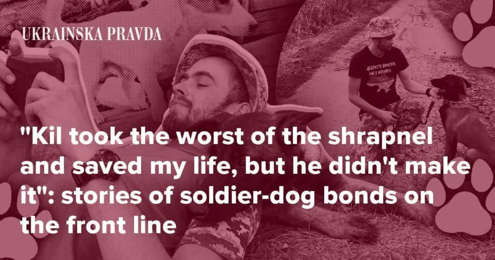 “Kil took the worst of the shrapnel and saved my life, but he didn’t make it”: stories of soldier-dog bonds on the front line