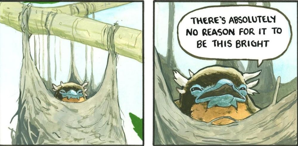 A fledgeling arises from their next. Their little eyes squint as they say " there is absolutely no reason for it to be this bright"

Comic from birdandmoon.com - the version in my mene folder from imgur cropped the artist. STOP DOING THAT. 
