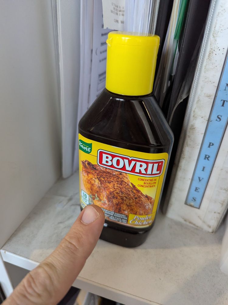Bovril laughing at me