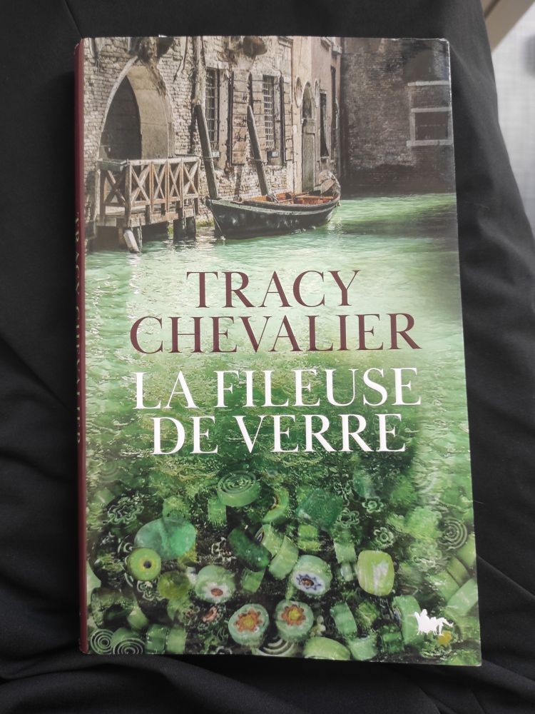 Photo du livre de Tracy chevalier " la fileuse de verre". 