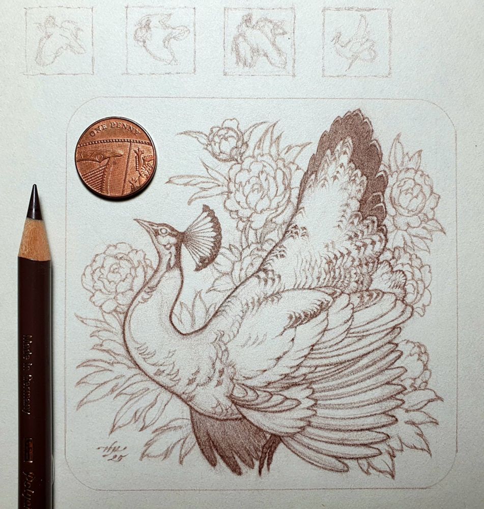Preparatory drawing in brown pencil of a peahen in a displaying posture, in profile, facing left, surrounded by peonies. Above the main drawing are four faint, tiny thumbnail sketches. 