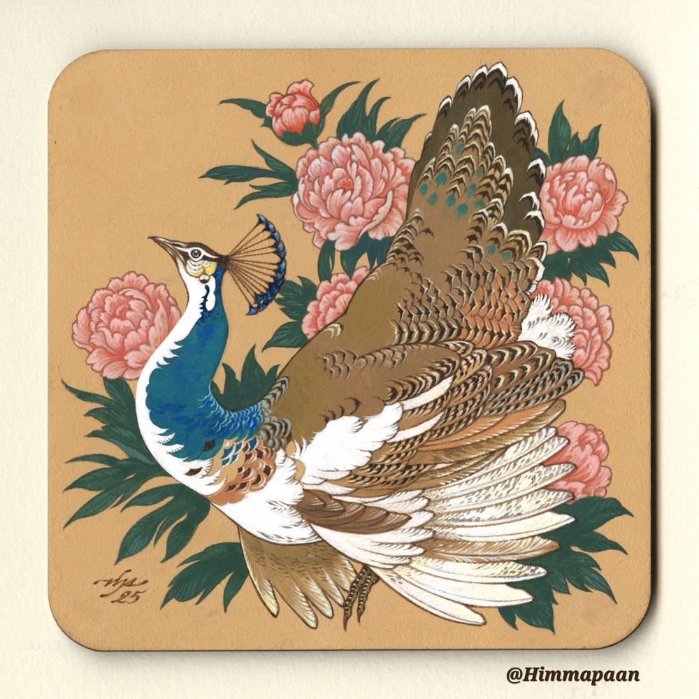 Painting on a golden-hued, buff toned square coaster of a pied peahen amid pink peonies. The peahen is mostly brown with barred feathers but has a blue-green neck, and, in common with pied coloration, has patches of white feathers interspersed throughout. She is in profile, facing left. The piece is lightly stylised with generally flat colours and fine detailing on the feather markings. 
