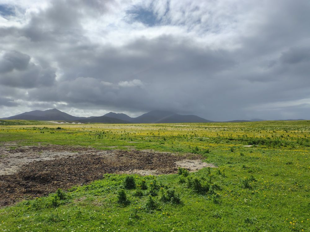 Agricultural grassland blooming with buttercups and daisies with low mountains beyond capped by grey clouds 