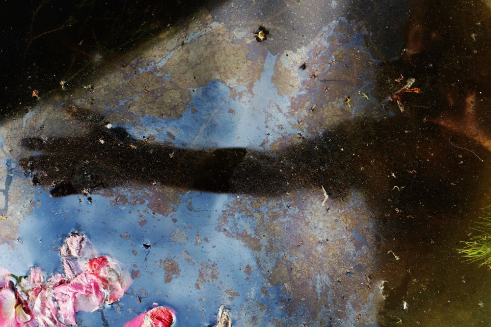 Schattenarm und Hand in surrealer Umgebung