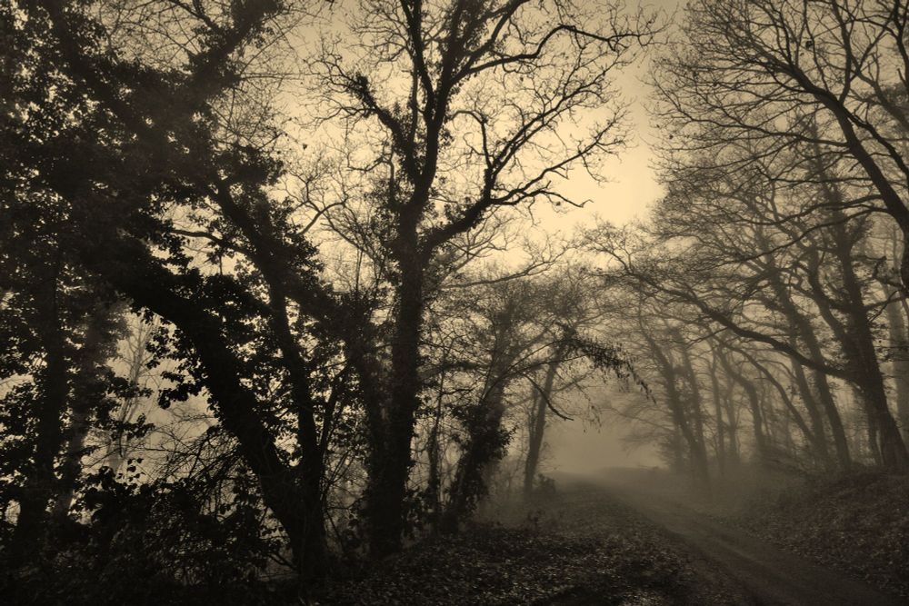 Union und AgD unterschätzen die Stärke und Vielzahl von Menschen, die humanistisch und demokratisch denken!