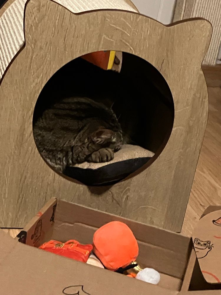 In a cat-shaped tunnel, a large tabby cat, at peace, rests his head atop a paw atop a pillow. 