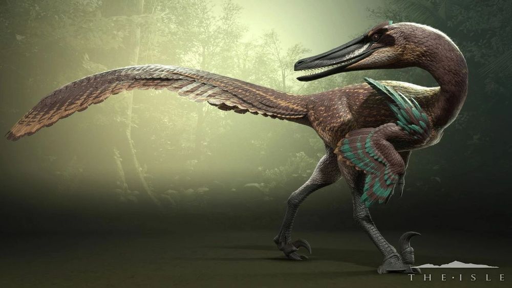 Austroraptor, a dromaeosaurid theropod that lived in the Late Cretaceous. 