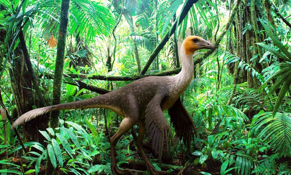 Mexidracon, a dinosaur from the Late Cretaceous. 