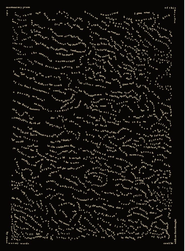 A poem in the form of a rock pool on the beach at couarde sur mer in île de ré (as published by Muscaliet Press in Shells of a Distant Sea)