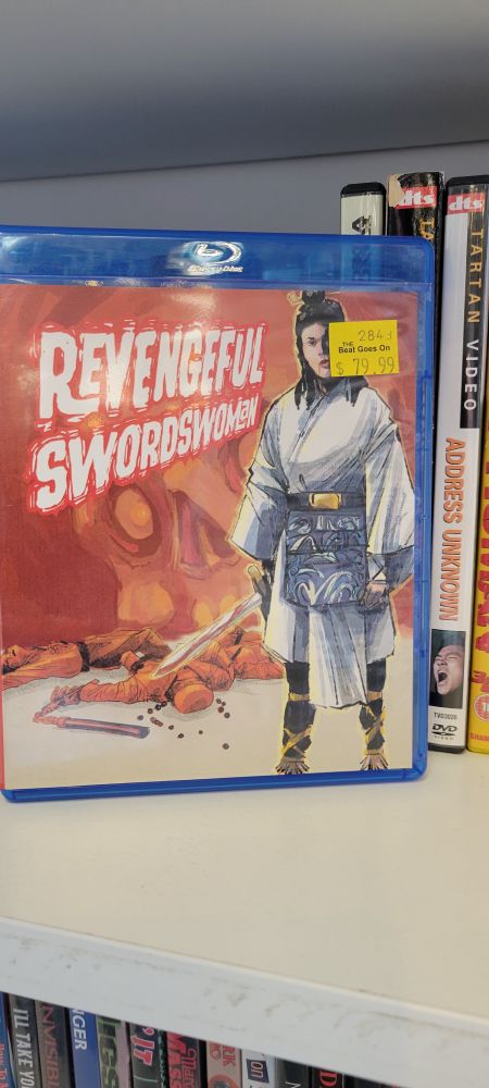 GNV's Revengeful Swordsman