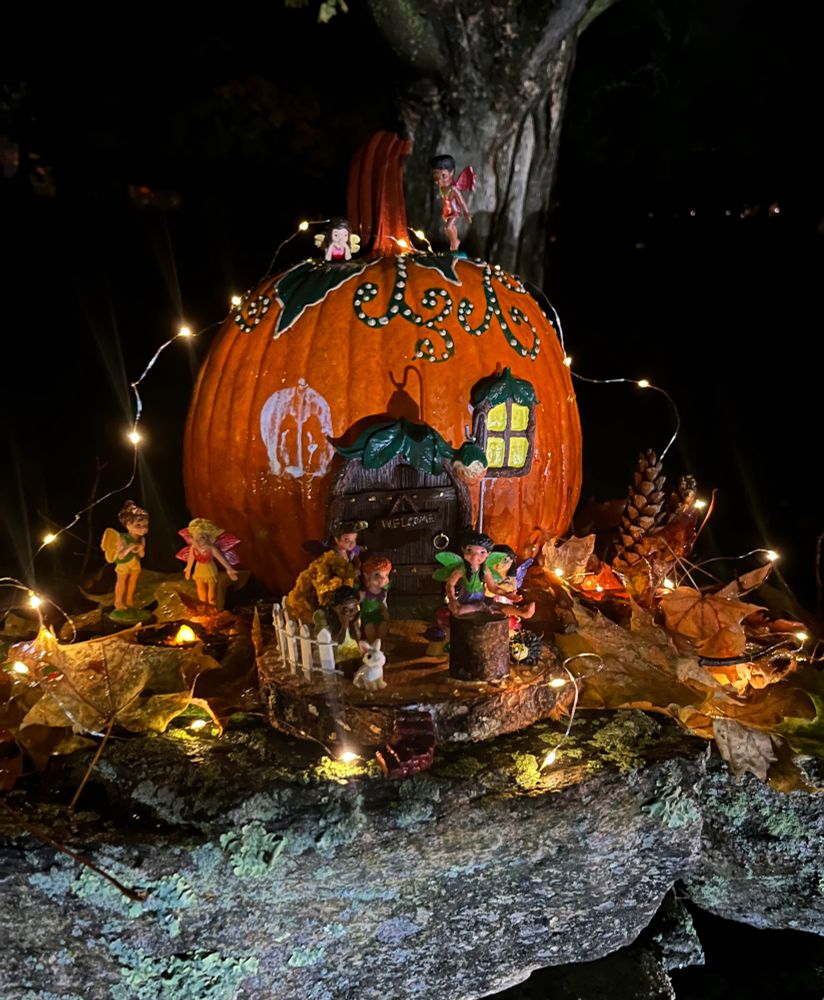 This pumpkin showed us all the fairies who lived there.