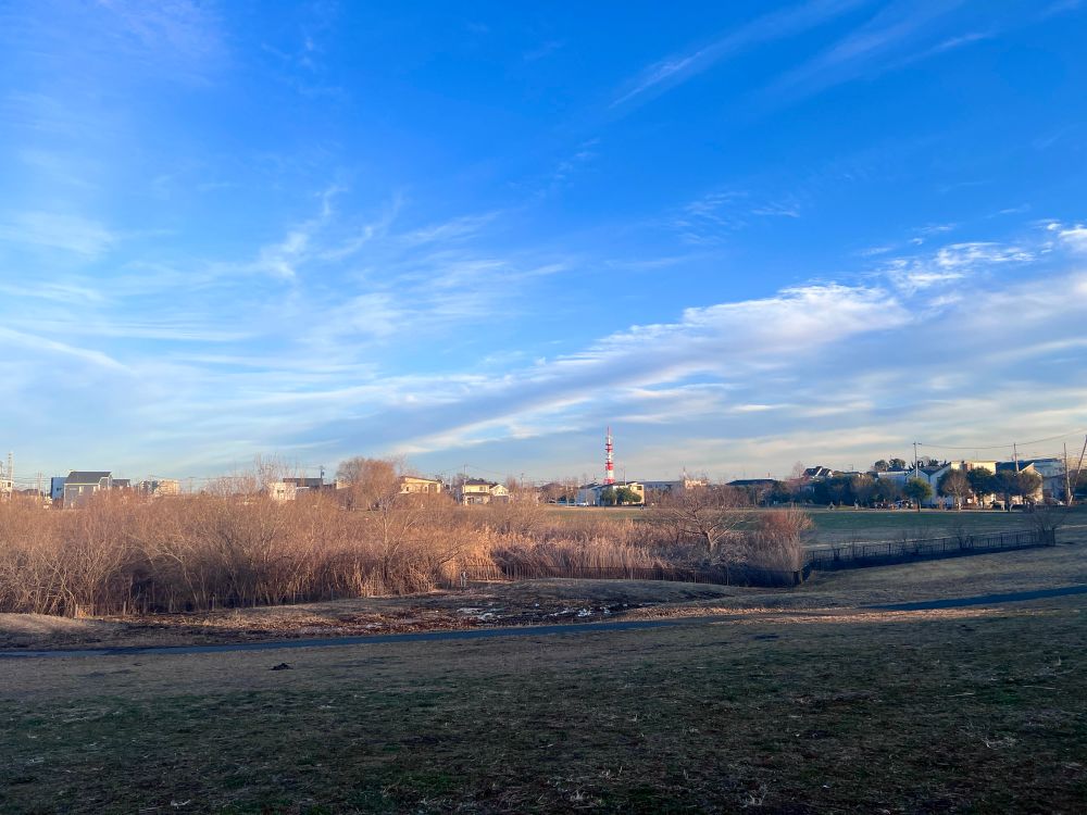 蓝天，有淡淡的云层，远处有低矮的房屋，一座红白相间的塔。近处是水边的植物，草地。