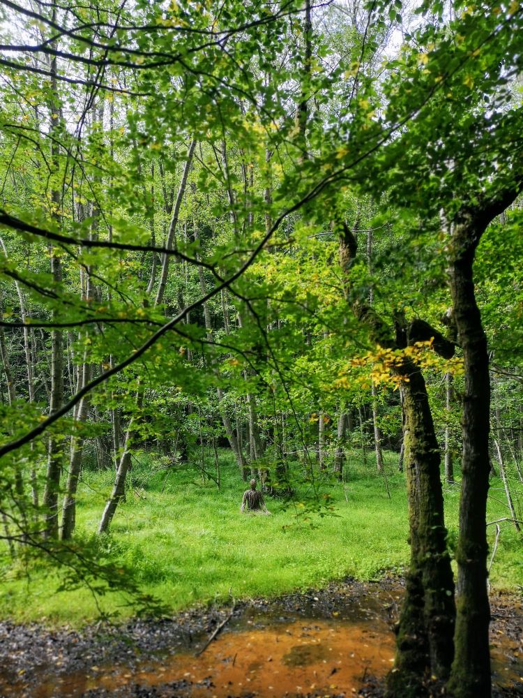 A withering Buddha #sculpture made of #willow in a meadow 
#green #transience #lifeinart #unknownartist #photobyninibaseema