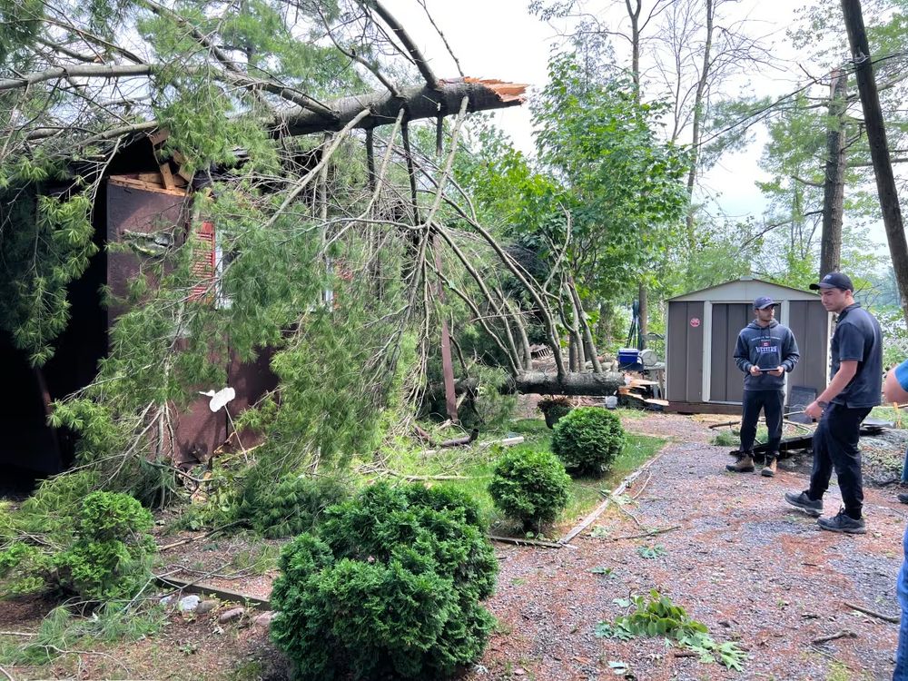 CSSL researchers examine tree damage