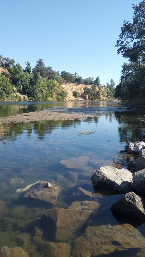 When you start to lose your mind (shit)
Get outside 