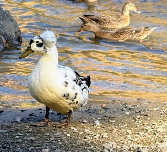 When you start to lose your mind (shit)
Get outside 