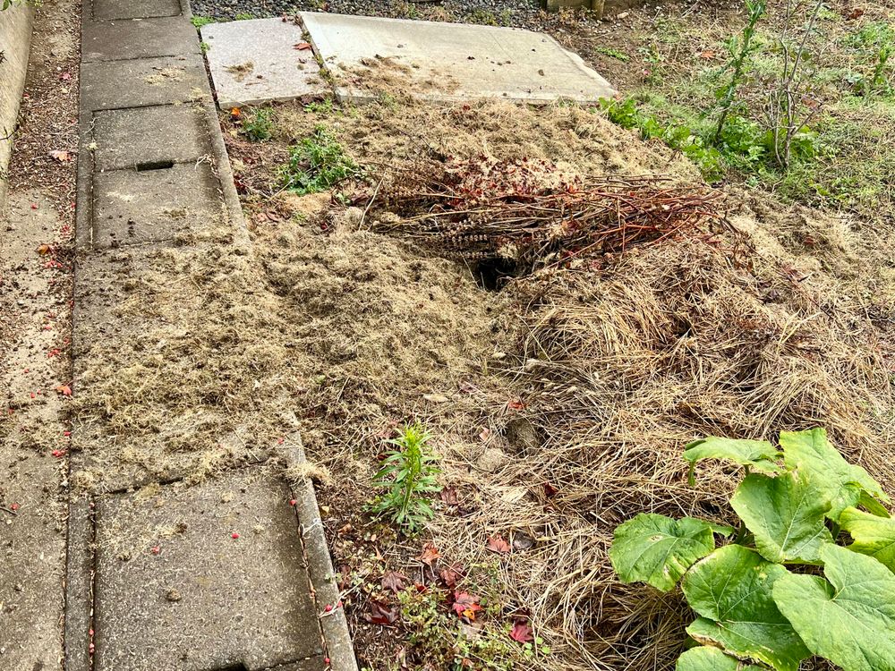 Compost heap with a hole in it and visible grass clippings strewn all about