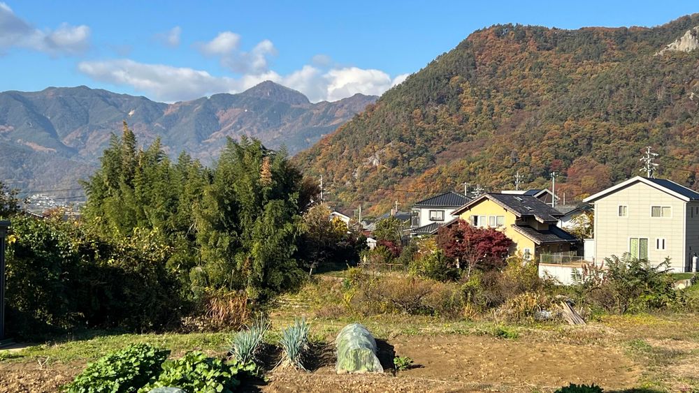 A well tended winter garden with houses and mountains in background 