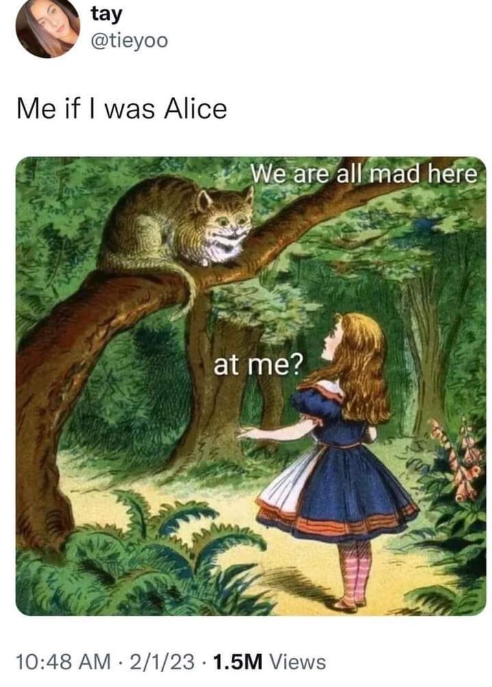 Caption says Me if I was Alice. Image shows Cheshire Cat in tree saying "we are all mad here." Alice says "at me?"