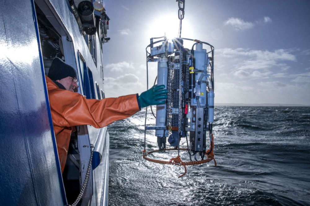 La mer Baltique s’est vidée de ses poissons