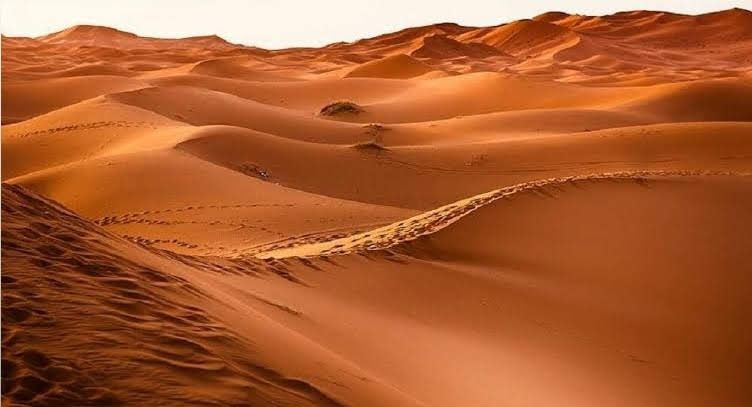 AKP'ye sahra çölünü ver yarın kum sıkıntısı başlamazsa ne olayım.