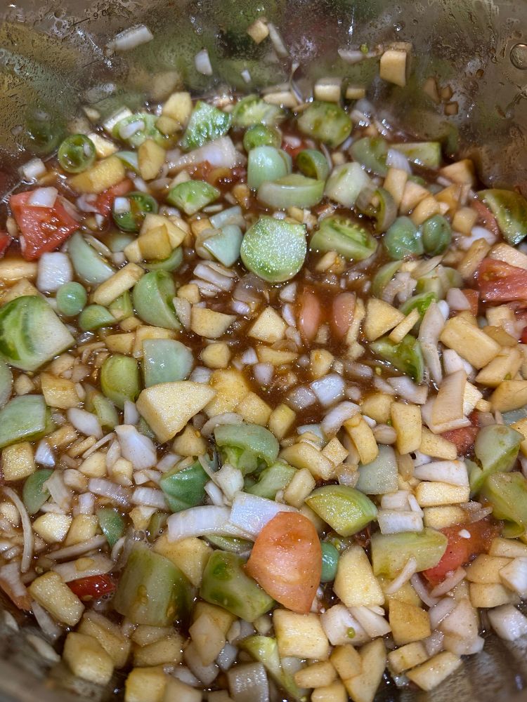 A messy stew of apples, chopped unripe tomatoes, onions, and spices. 