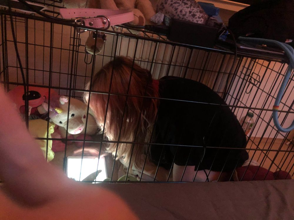 puppy girl gaming in her cute little cage :3