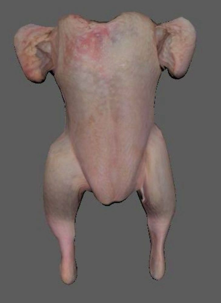 Comment image