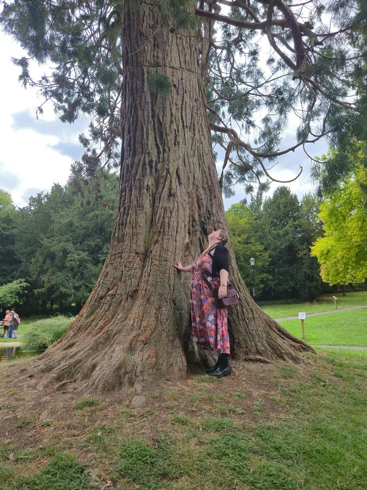 Big Redwood tree in a park, I'm in a red dress and black bolero, looking up at it in awe. It's dwarfing me. 