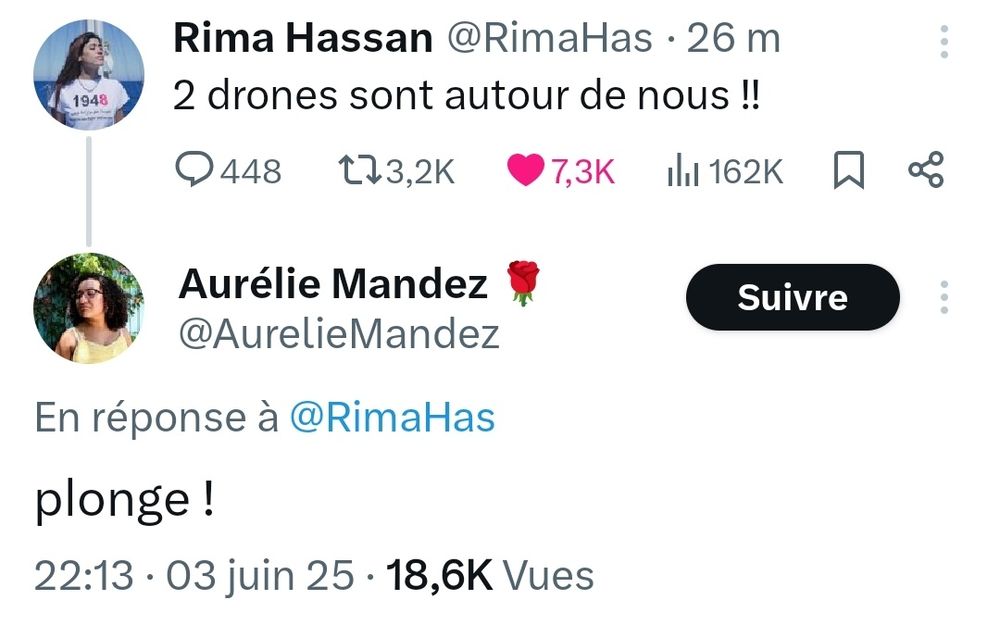Une socialiste répond à Rima Hassan après son post indiquant que des drones survolent son navire : "plonge !"