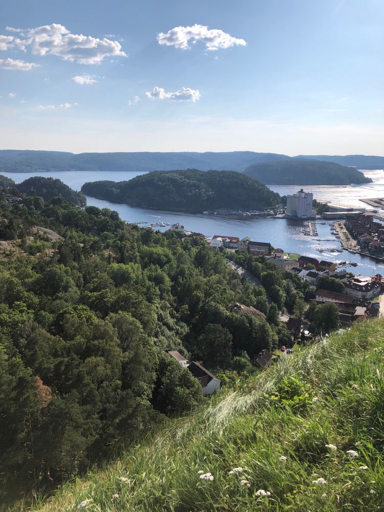 Vacker vy över Halden i Norge. Skog och sjö och ett fåtal hus ovanifrån. 
