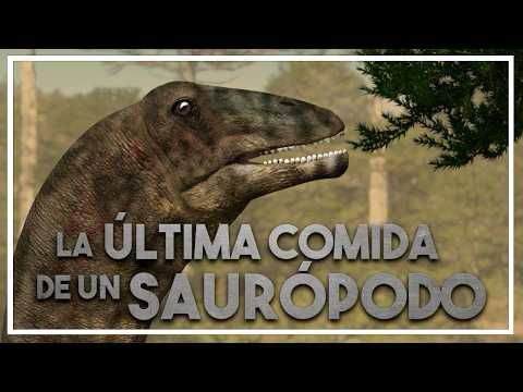 🦕 ¿Cómo sabemos qué comían los DINOSAURIOS? Diamantinasaurus y los saurópodos