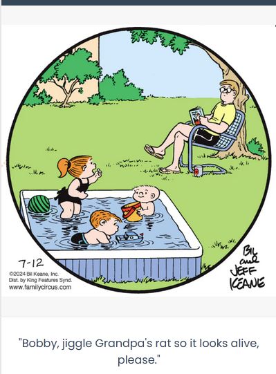 Family Circus, kids in pool calling out to dad. The caption reads: "Bobby, jiggle Grandpa's rat so it looks alive, please."