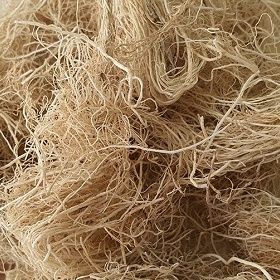 🌿 Export-quality Gracilaria Seaweed from Vietnam! Used for agar, food, fertilizer, cosmetics & more. Protein-rich (8%), sun-dried, low impurities.
📩 Ms. Nora – export5@vietseafarm.com.vn

📞 (+84) 964 279 454
🌐 vietseafarm.com.vn
#Gracilaria #SeaweedExport