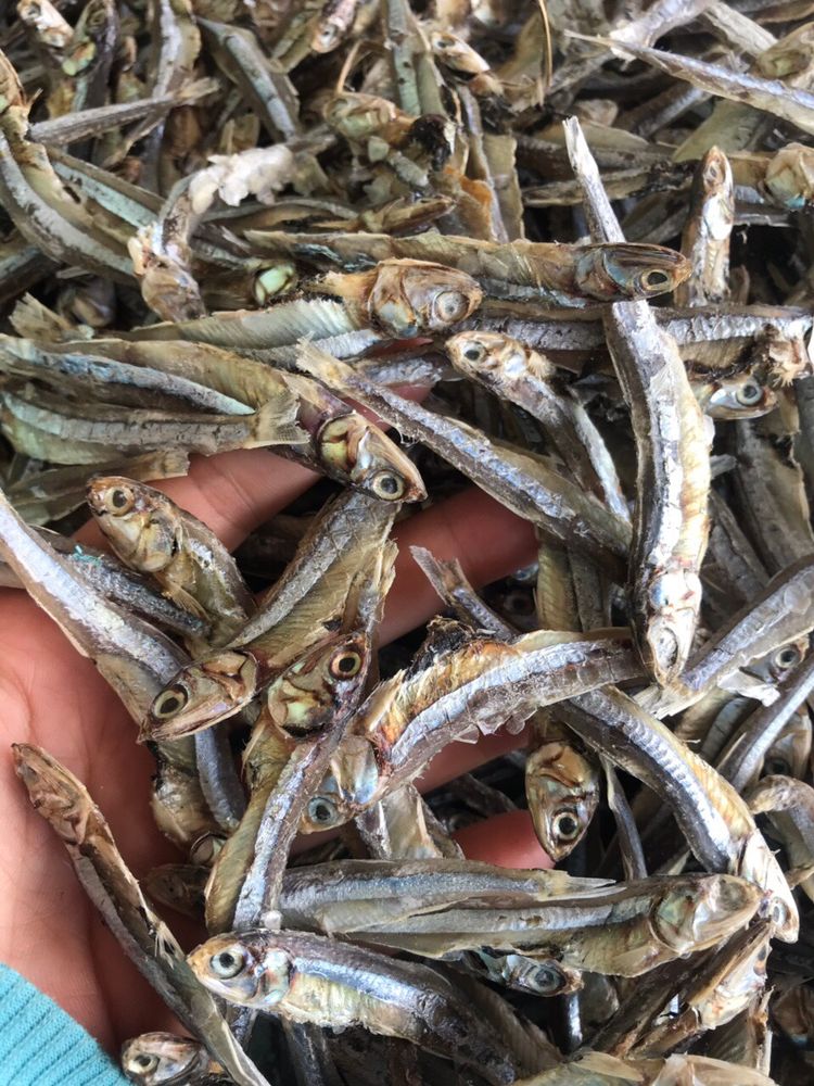🐟 Dried Anchovy from Vietnam – Sun-Dried, Export-Ready
Sizes: 3–7 cm | Moisture ≤25% | Shelf life: 12 months
Packed 10kg/carton | 7.5MT/20ft RF | Delivery: 7–10 days

📩 Mr. Louis
📧 export2@vietseafarm.com.vn
📞 +84 347 499 738
🌐 vietseafarm.com.vn

#DriedAnchovy #VietnamSeafood #FishExp