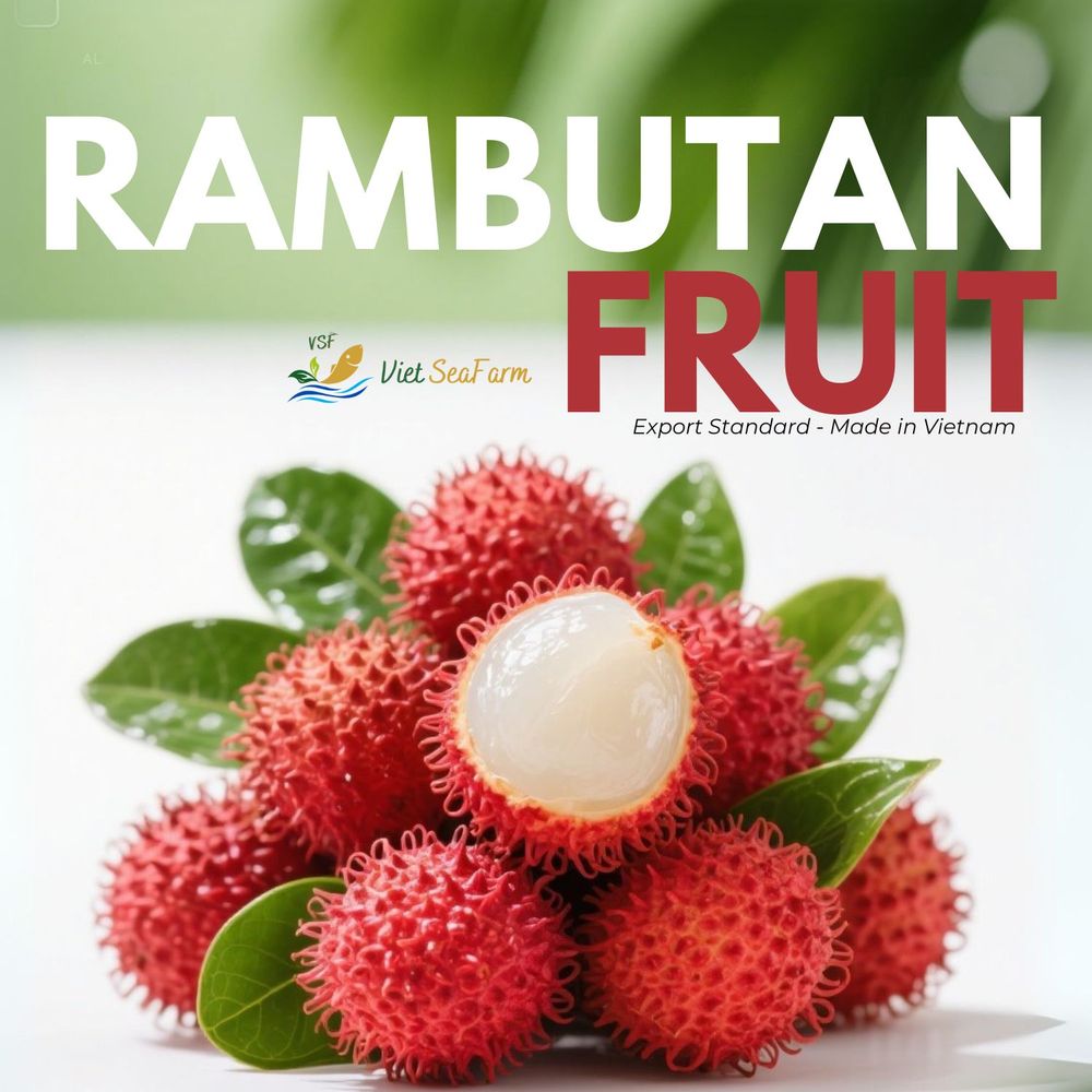 🍒 Sweet, exotic & export-ready! Vietnam’s Rambutan is here in fresh, frozen & canned seedless formats! Packed with tropical flavor from the Mekong Delta 🇻🇳.

📩 Jade – export1@vietseafarm.com.vn
 | 📞 (+84) 898 249 329
#VietnamRambutan #ExportFruit