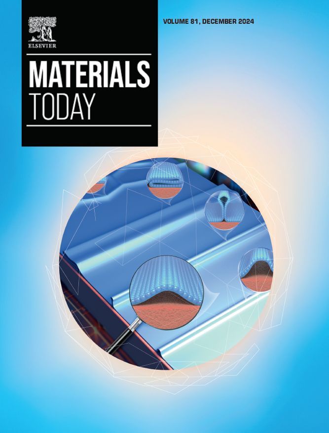 Cover of Vol 81 of the journal Materials Today featuring art form the authors of the article titled: Wrinkle formation in synthesized graphene and 2D materials