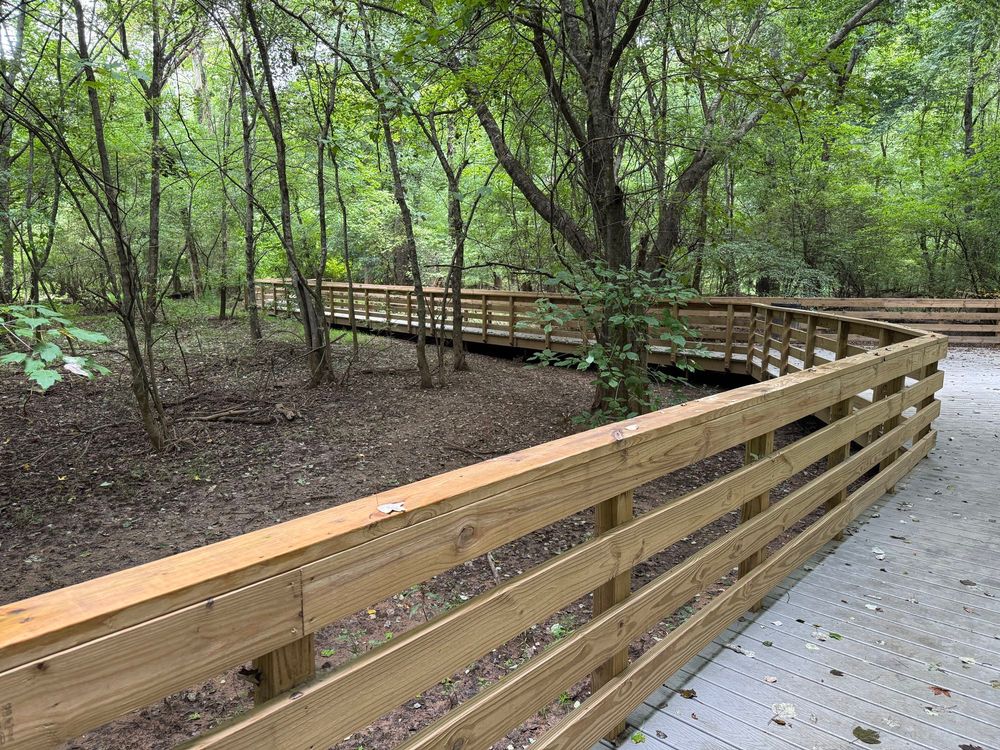 Boardwalk along the Big Creek Greenway. This area is floodplain so it can be challenging to put trail in while meeting all the flood zone permitting. Boardwalk is one solution. 