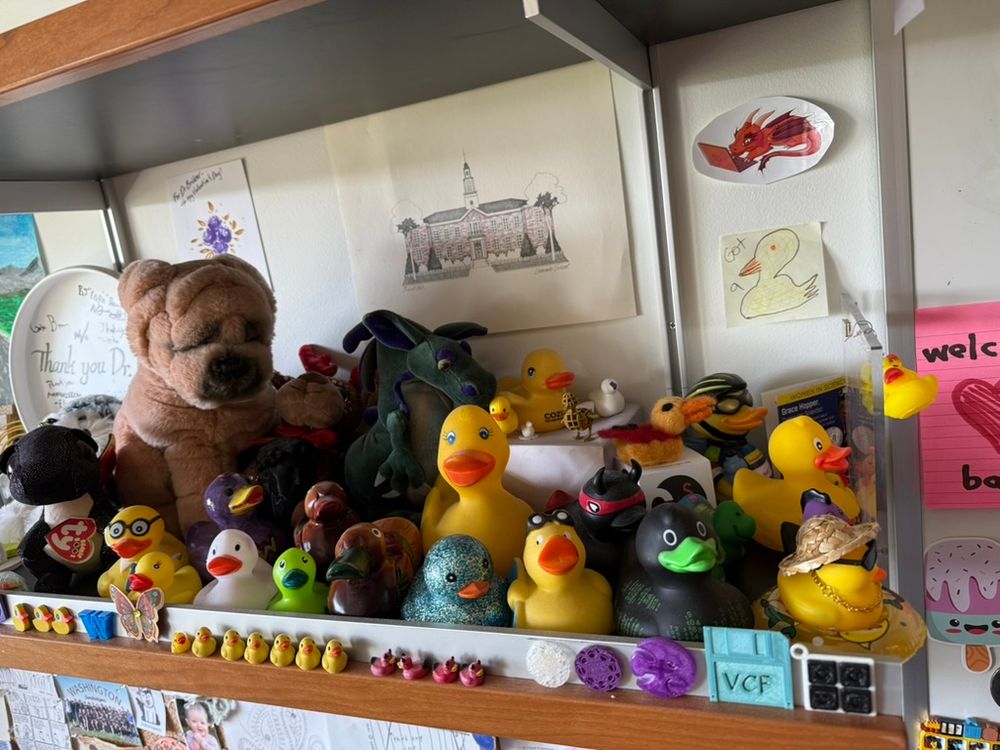 The beach duck sitting on a shelf with many other ducks