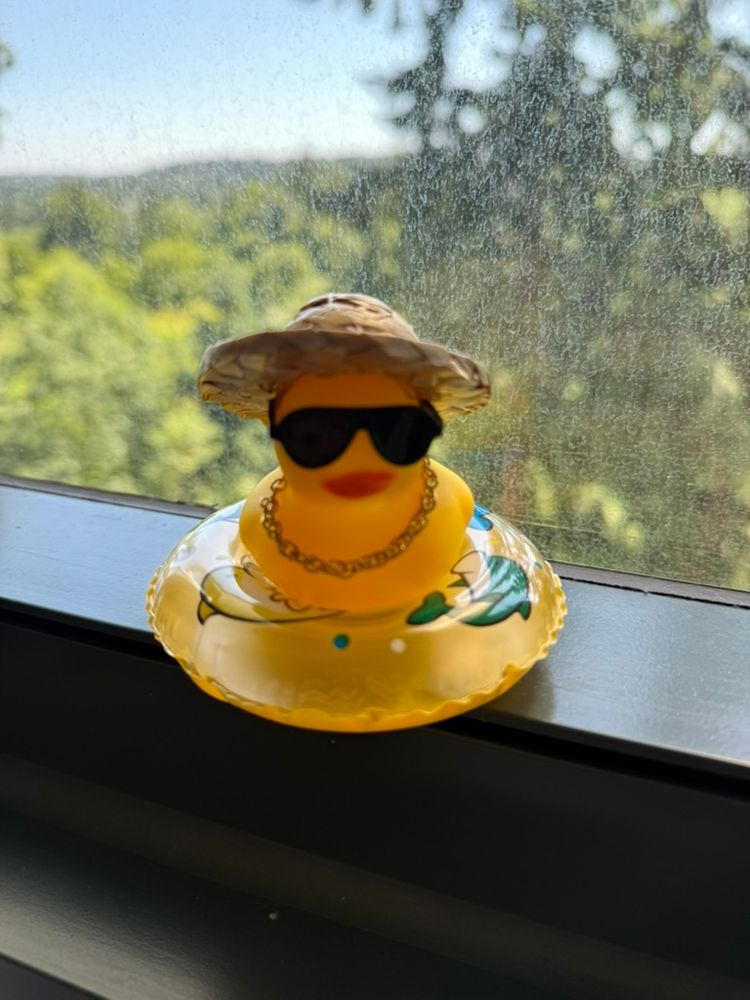 A yellow rubber duck with a straw hat, sunglasses, a gold chain sitting on an inner tube in front of a window with green trees behind the window