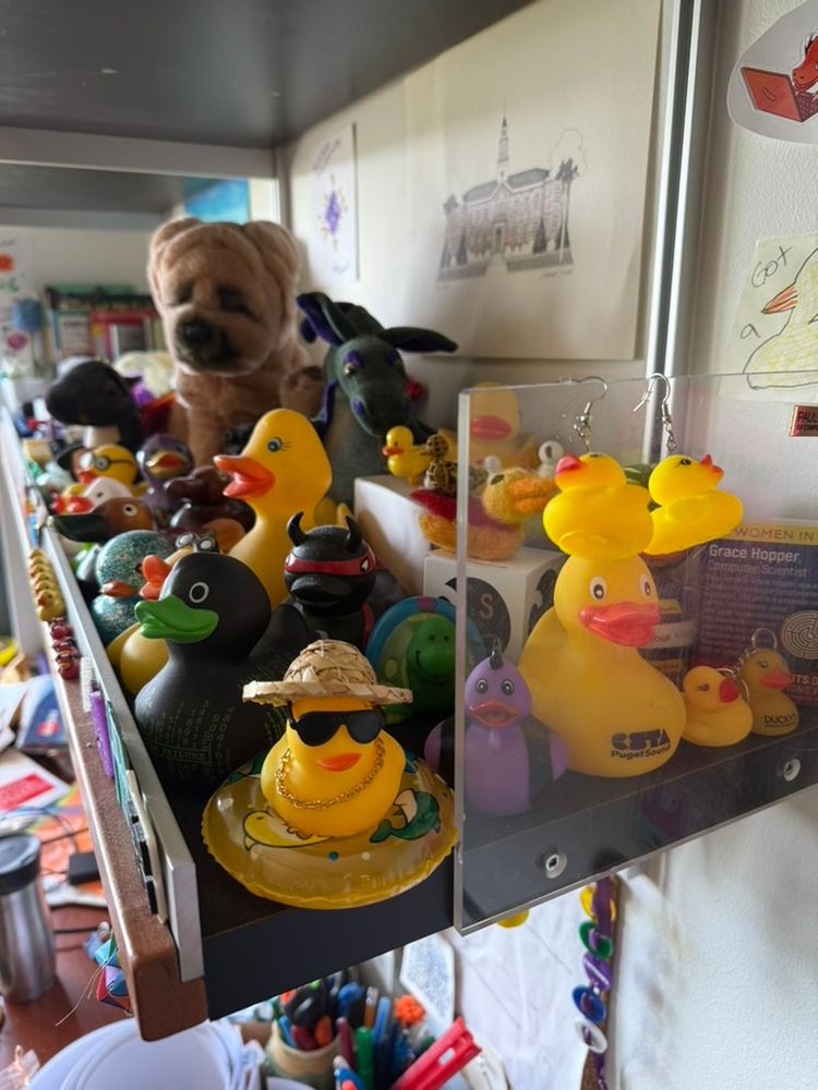 The beach duck sitting on a shelf with many other ducks
