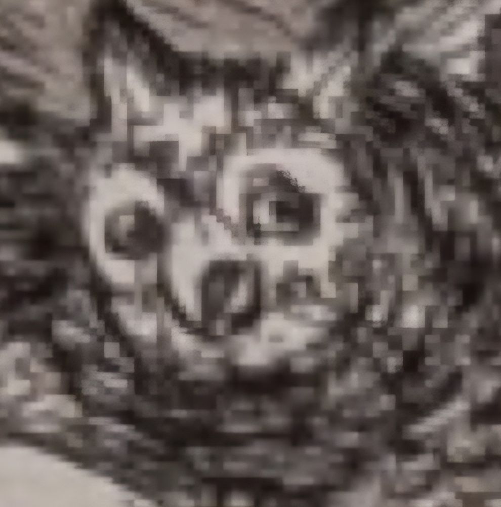 Eine Eule aus "Schlaf der Vernunft..." in Detailansicht