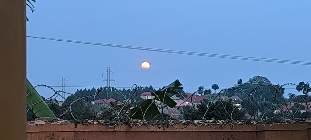 A full moon in the early evening, but had the colors of the sunset. Its the blue hour, the sky is cloudless. There is a wall fence topped with barbed wire in the foreground and red rooftops sticking above greenery behind it. A poor quality phone camera image, which failed to capture the beauty of nature.