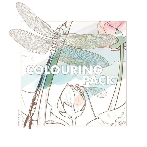 Water Lily Pond Colouring Pack - Inky's Ko-fi Shop