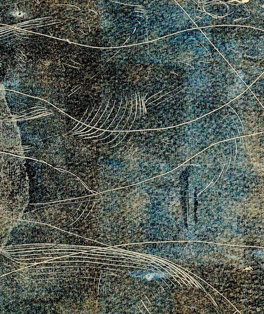 Surface of muted green blue black tones and shapes with white lines