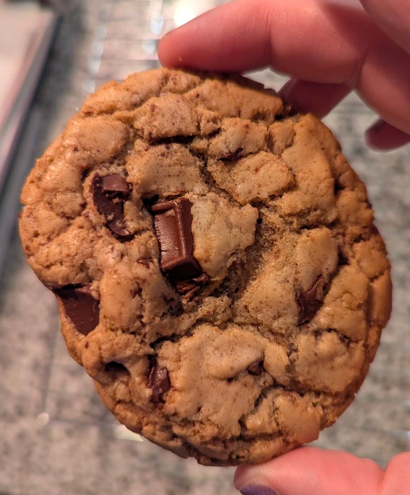 me holding a chocolate chip cookie