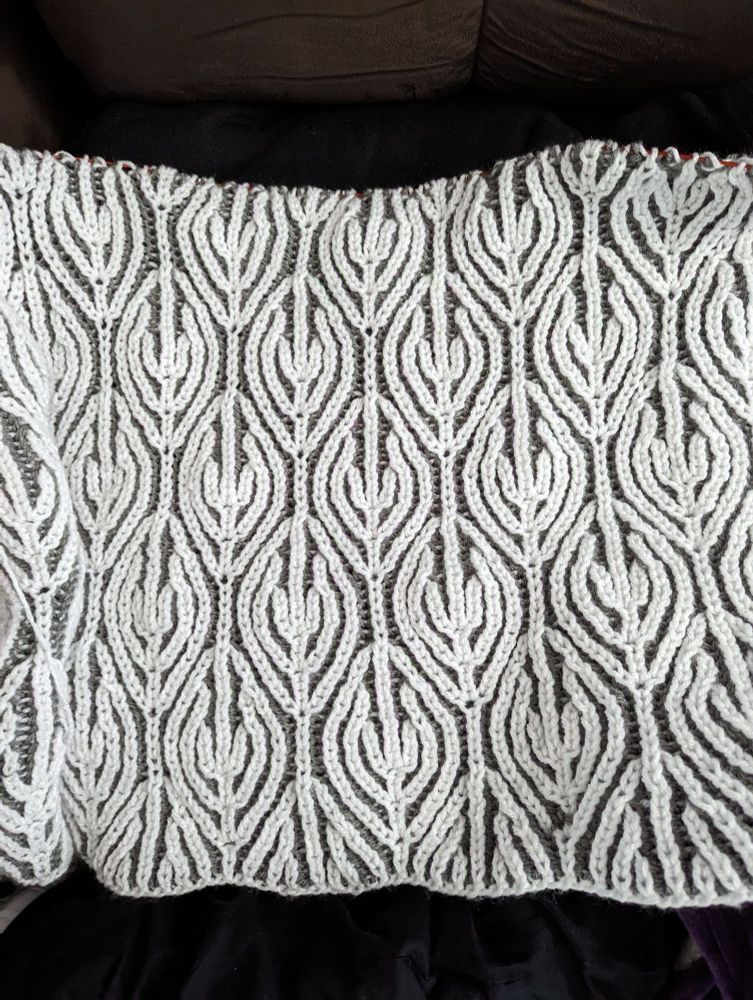 Brioche leaves white foreground and grey for the back.